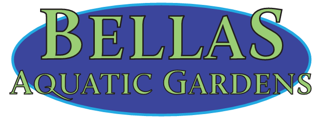 Bellas Aquatic Gardens — Miami Koi Show 2026 sponsor